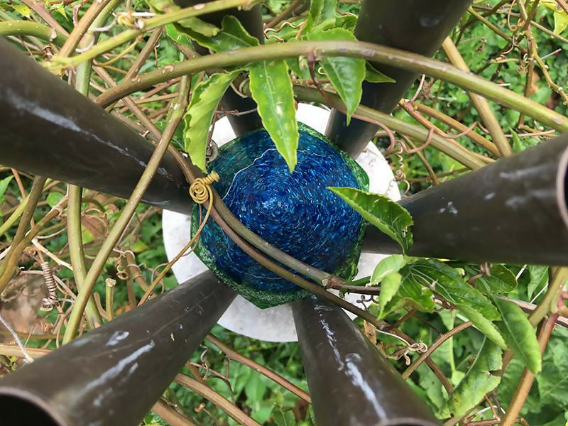 Overhead view outdoors of a blue cone set among dark upright pipes and plant leaves