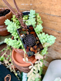 pendant-front