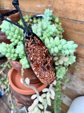 pendant-front