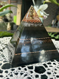 image4 Karli 1 